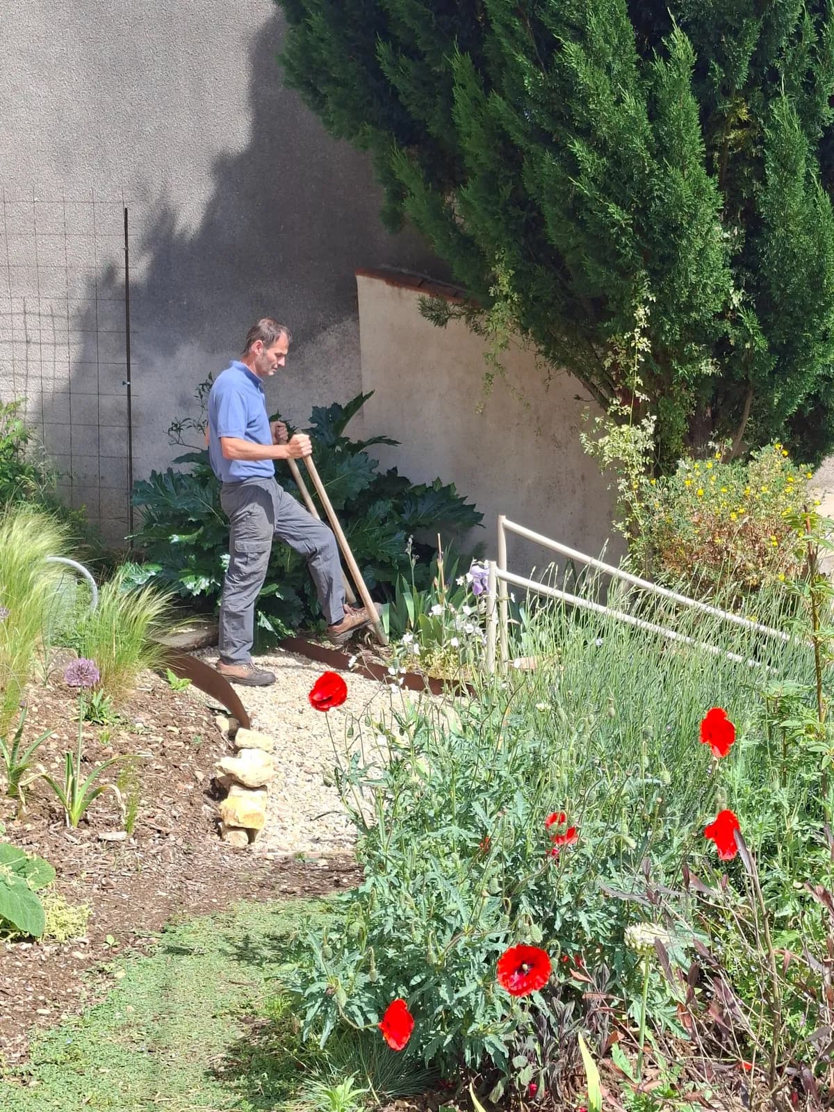 Jardin devant maison après mise en valeur par Christophe, plus fleuri et plus accueillant