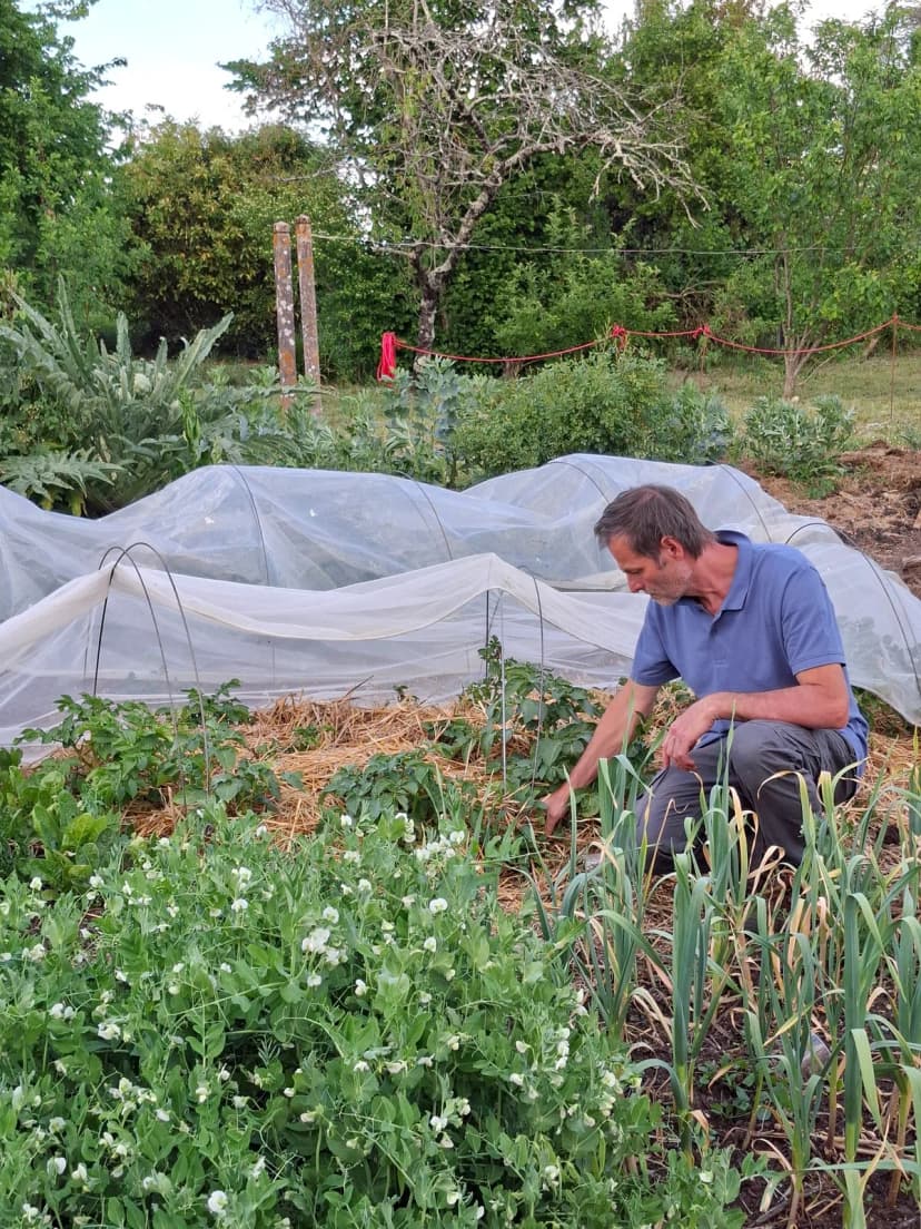 Christophe travaille dans un potager paillé et vivant