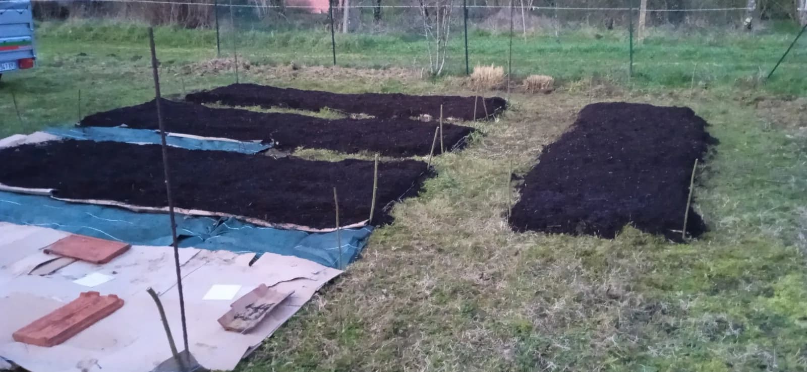 Terrain de potager vierge avant travaux, avec espace à organiser